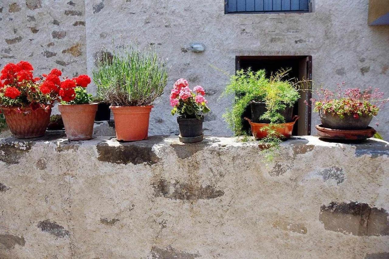 Rectoria De Castellar Villa La Vall de Bianya Buitenkant foto